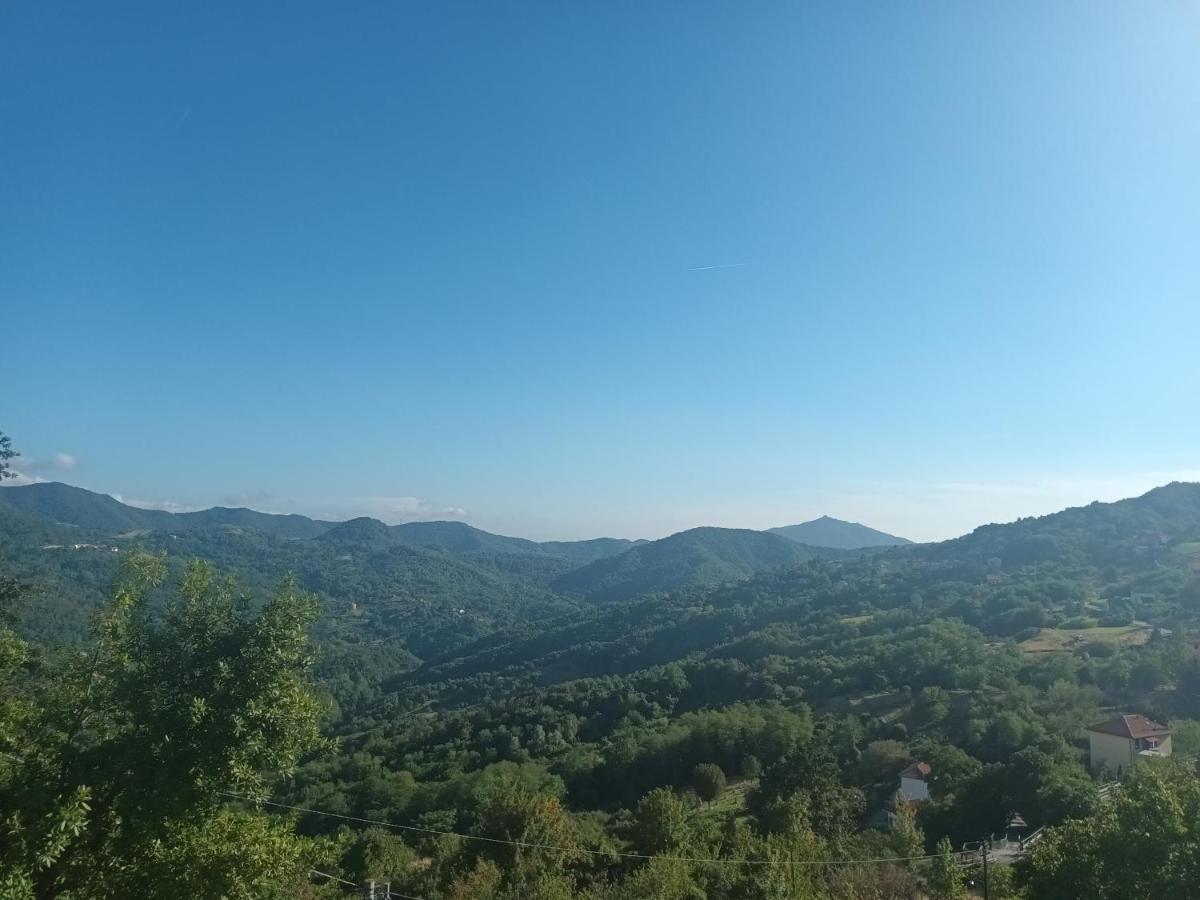 Appartamento La Pineta It010-058C20-Tj54093 Serra Rocco Zewnętrze zdjęcie